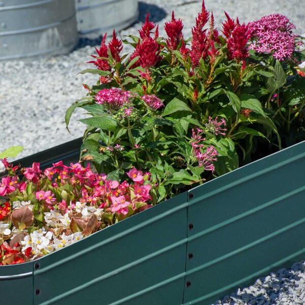 Galvanized Steel Raised Garden Bed